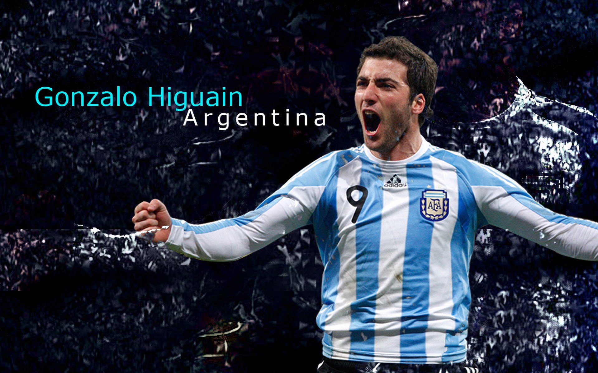 体育赛事志愿者服务规范，体育赛事志愿者的工作要求