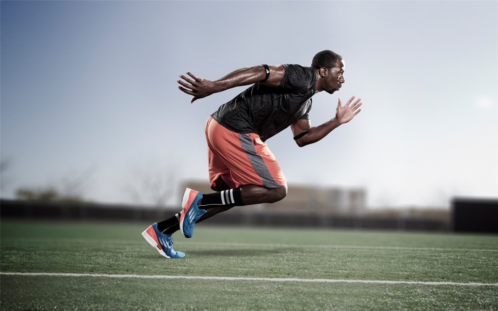 阿莱克西决赛表现超出预期，阿莱克西亚历代记